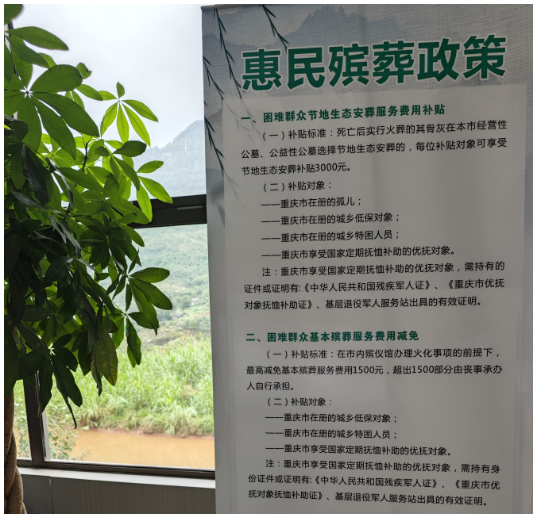 綦江區召開專題會,研究深化活人墓整治工作